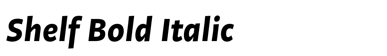 Shelf Bold Italic